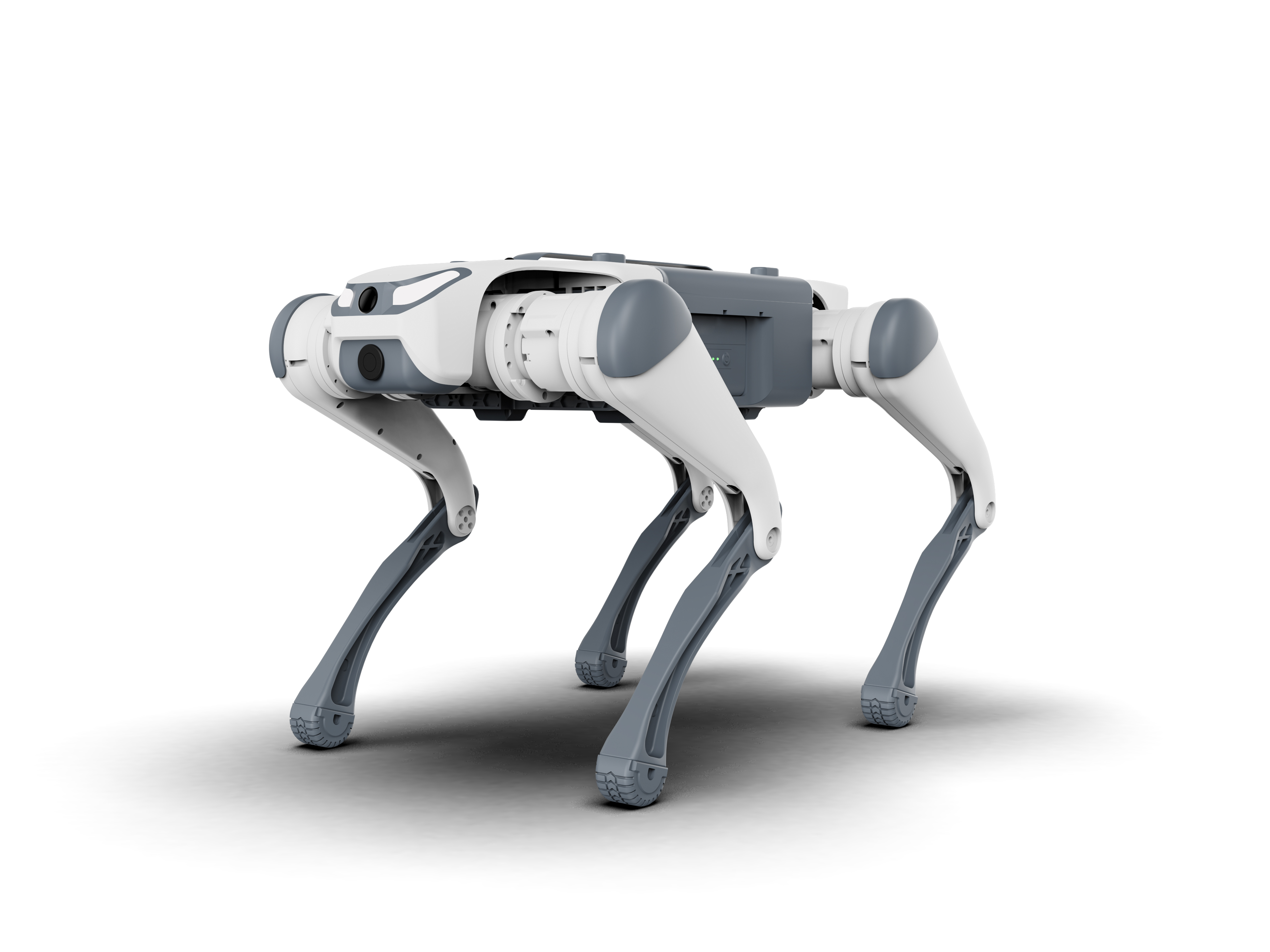 DOG ROBOT